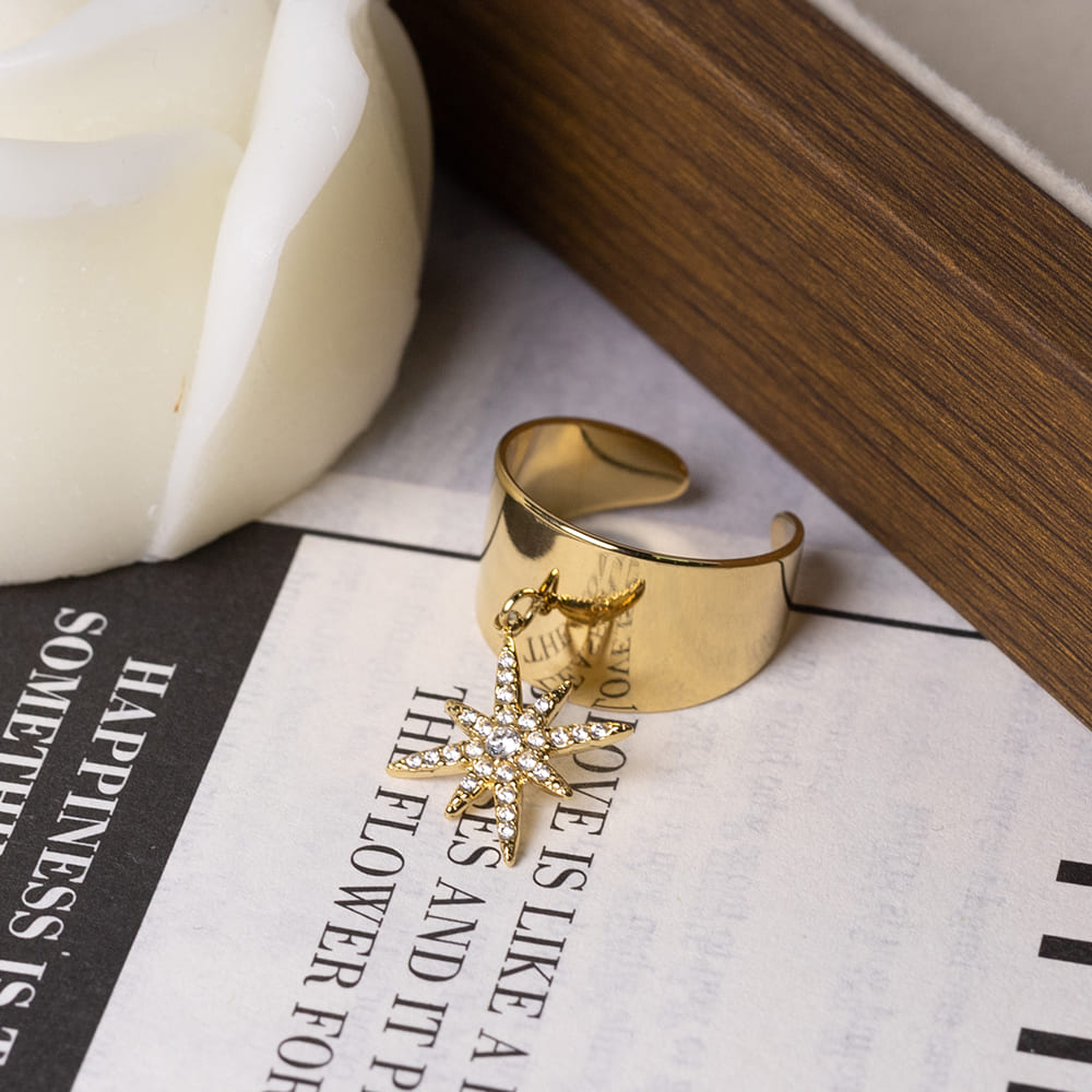 Luxury Zircon Star Stainless Steel Ring