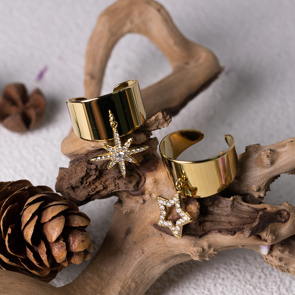 Luxury Zircon Star Stainless Steel Ring